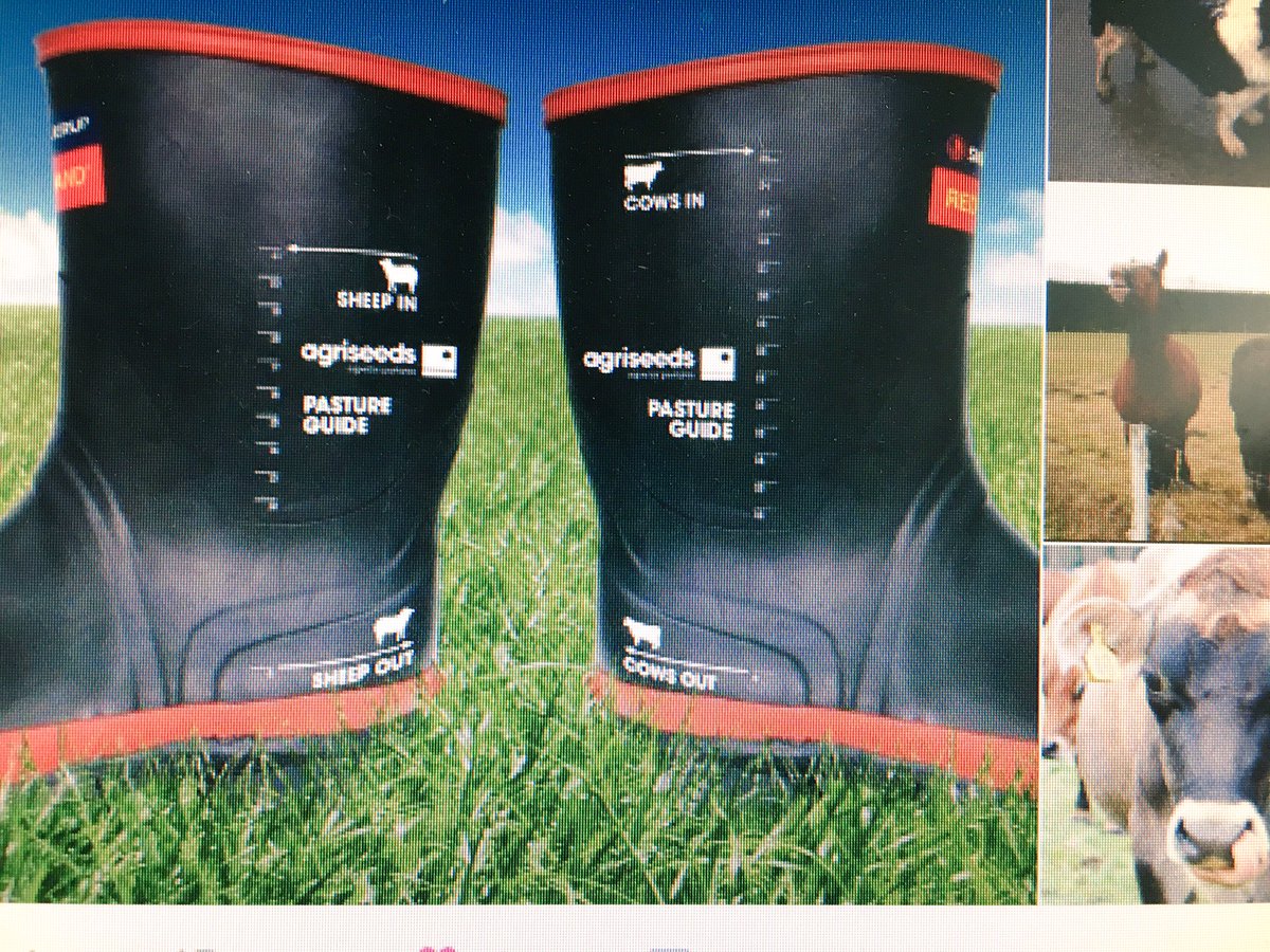 terkouruguay's tweet photo. Creatividad Nueva Zelandia. Miden la disponibilidad de Pasto para entrar o salir de la parcela con las botas !!Fundamental !! https://t.co/kYIpTIzdyj