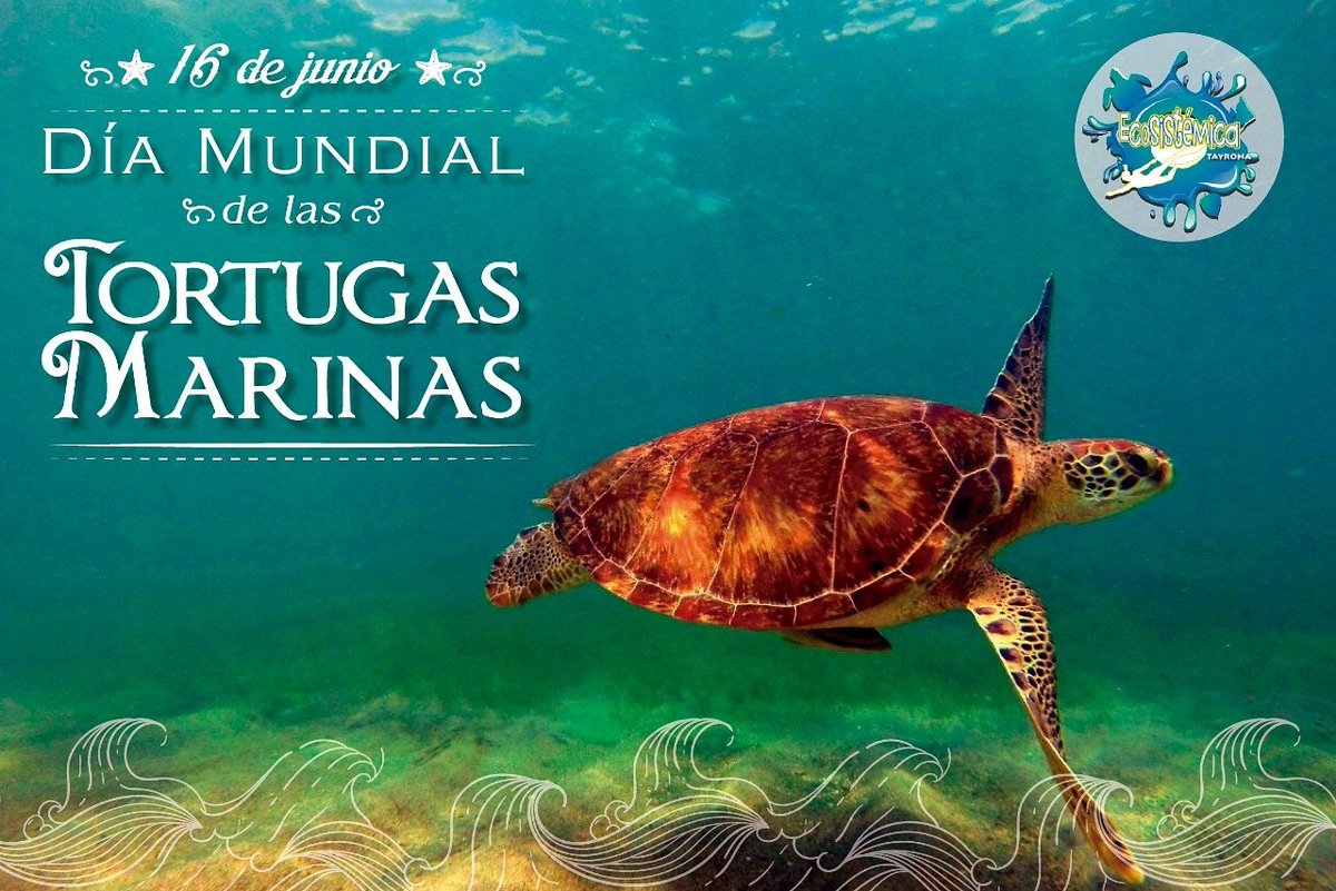 estamos de celebración <a href="/luisdiaz_acuana/">Luis Antonio Díaz B</a> <a href="/RedVountarios/">RENOVOS</a> @AgendaTStaMarta <a href="/ParquesColombia/">Parques Nacionales Naturales de Colombia</a>  <a href="/MinAmbienteCo/">MinAmbiente Colombia</a> <a href="/invemarcolombia/">INVEMAR</a>