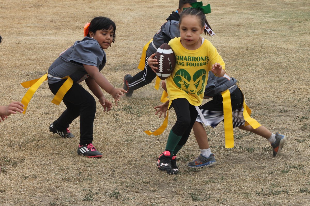 <a href="/udcimx/">UDCI</a> apoya al deporte infantil y juvenil,aportando un granito de arena para la formación integral y segura de sus jóvenes. <a href="/Angelgc77/">Angel Gómez</a>