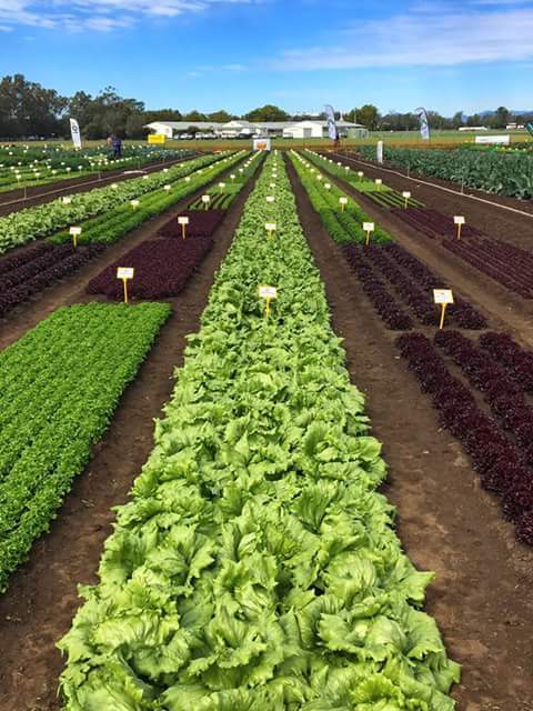 kenyabiztr's tweet photo. We have millions of red worms for sale @ ksh.2,500 per kg. Call us on 0713032797. https://t.co/MyWfZxzZah