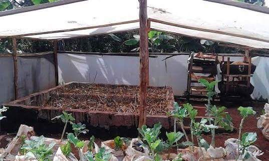 kenyabiztr's tweet photo. We have millions of red worms for sale @ ksh.2,500 per kg. Call us on 0713032797. https://t.co/TtMT9t8K9C