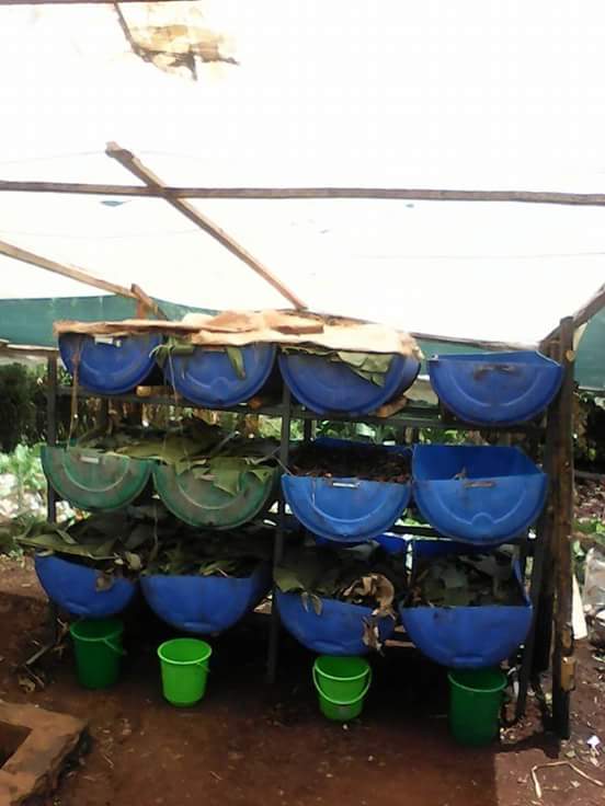kenyabiztr's tweet photo. We have millions of red worms for sale @ ksh.2,500 per kg. Call us on 0713032797. https://t.co/TtMT9t8K9C