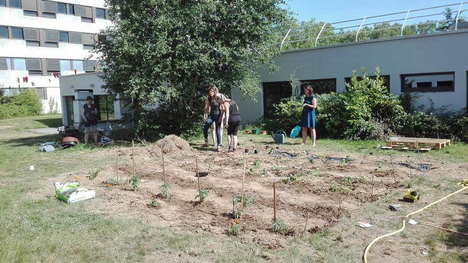 ED3S_TCoville's tweet photo. Le jardin des "potes âgés" a enfin pris vie ! Beau travail d'équipe des ED3S et surtout de @louise_rothe 🙌 Bientôt l'accueil des résidents! https://t.co/jotDp9irjO