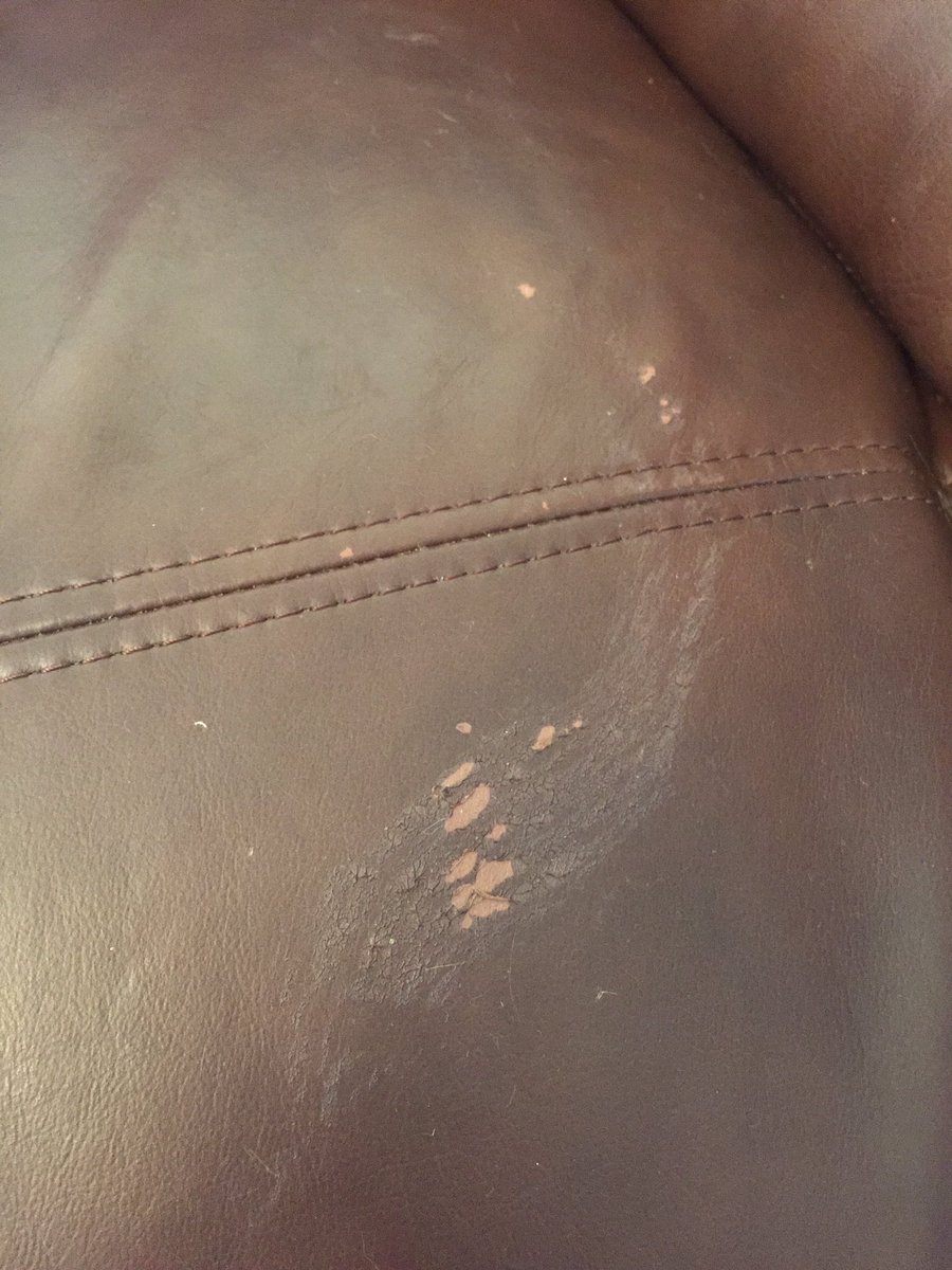 maisieb2009's tweet image. This is what Advocate has done to my leather sofa,melted the top layer off,what the hell is in it?Don&apos;t want Ernie catching fleas but wow!