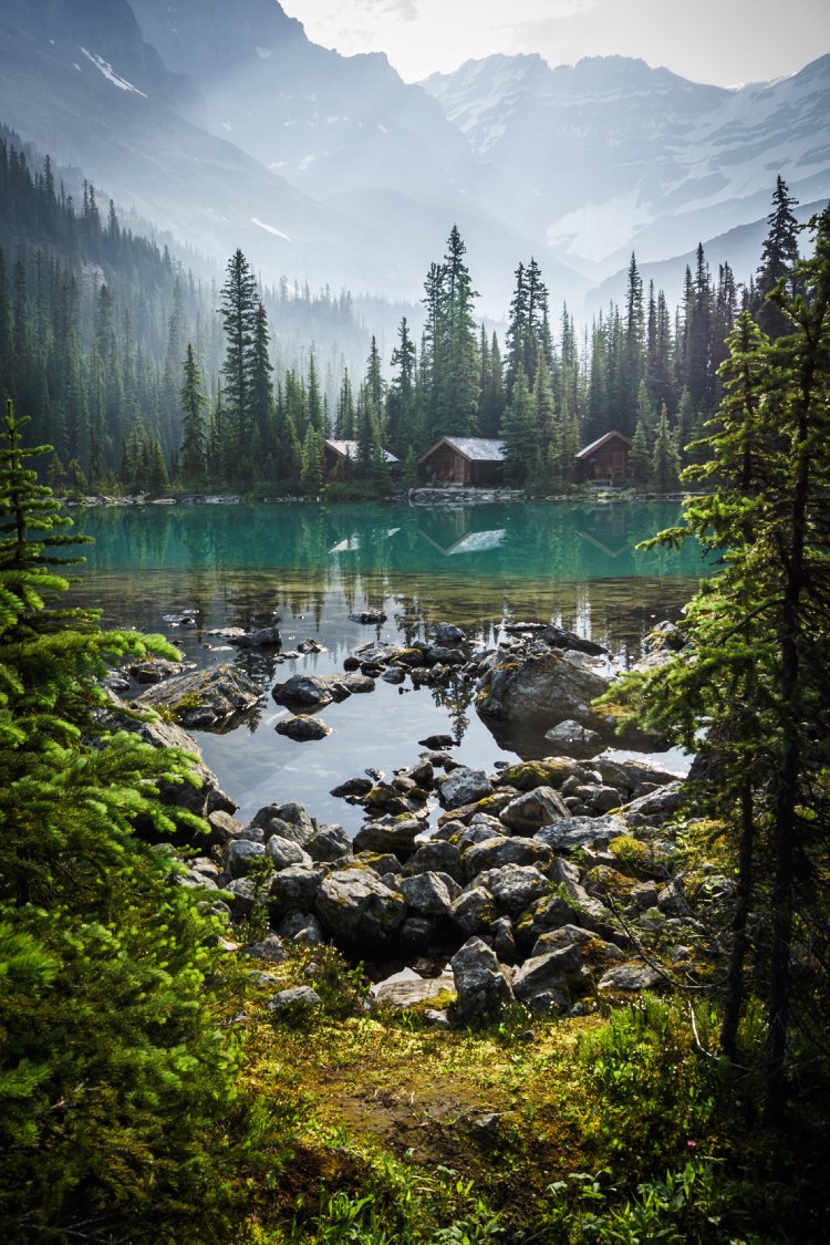 ExploreCanada's tweet photo. Picture perfect. 📷: @CarrieCole2010  📍@Lake O'Hara, @HelloBC  #ExploreCanada #ExploreBC https://t.co/7AESES2zId