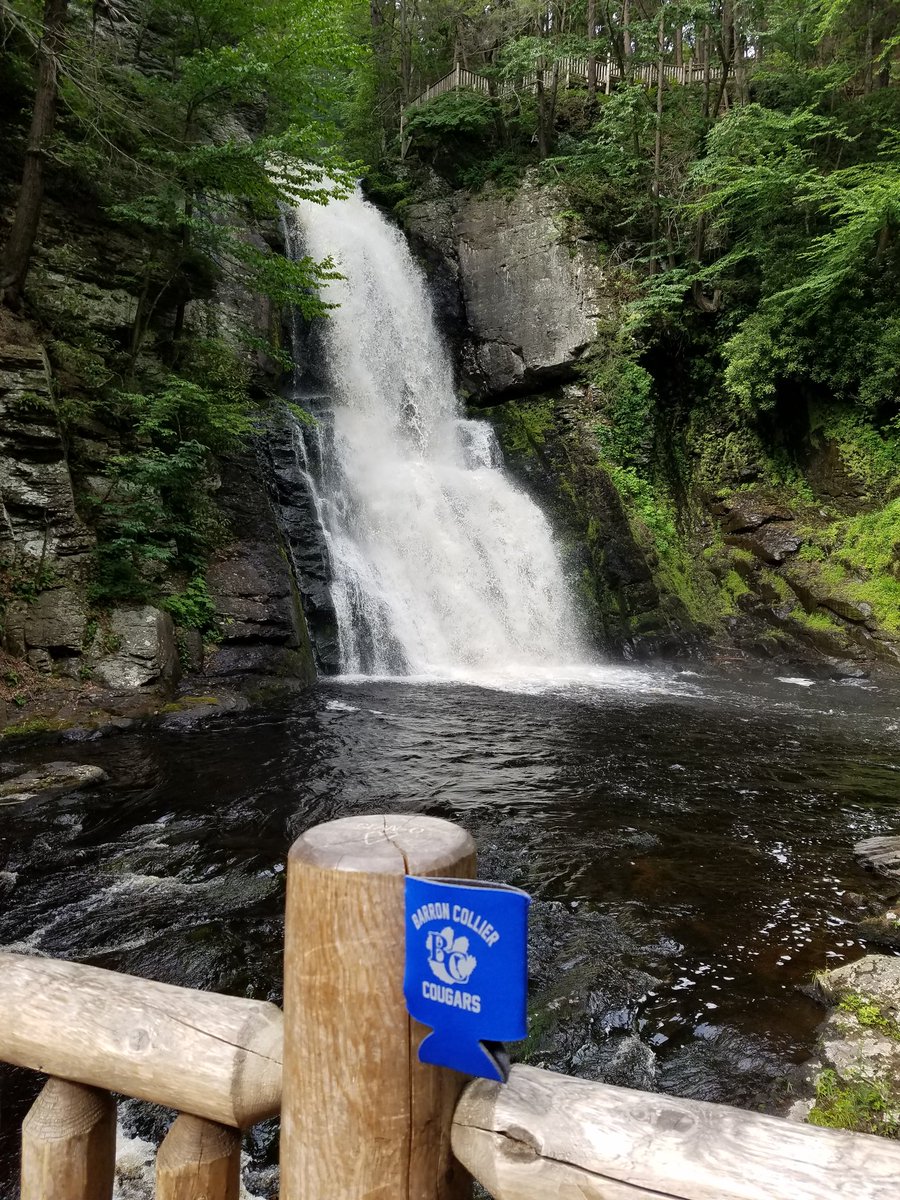 BarronCollier's tweet photo. Hey #BCNation! As you travel this summer show your Cougar Pride with pics that include BC logos. YB may have a #ShowYourBC page. Where U at? https://t.co/V1boCQWZ38