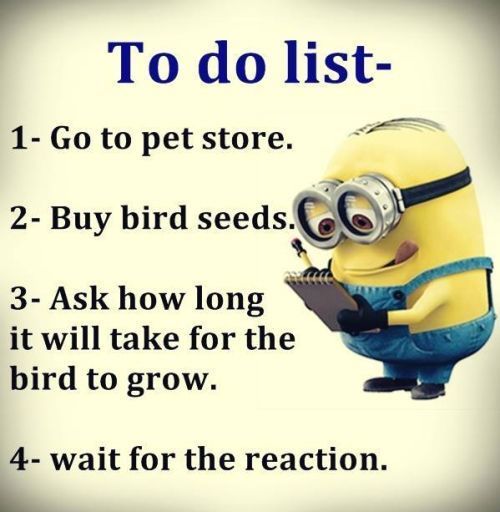milkweedbalm's tweet photo. Today's To Do List... #FridayFunny #waitforthereaction #MilkweedBalm2TheRescue
https://t.co/Aw78JSpQZW https://t.co/FB9EeSnkhV