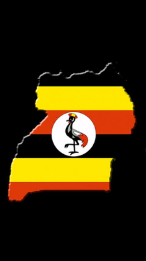 Brian Cypher Sparta tweet media