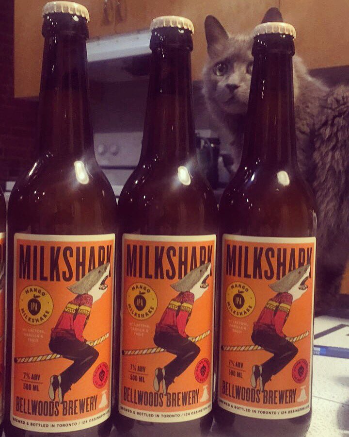 oldirtybatcher's tweet photo. Ken photobombed my #BellwoodsBrewery photo. #Milkshark #MilksharkMango https://t.co/vsfGs2QsKO