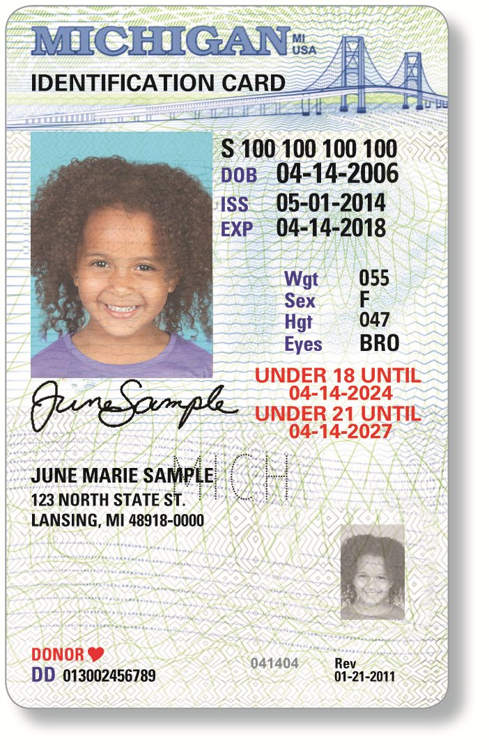 Michigan Department Of State On Twitter The Secretary Of State Offers State Id Cards For Children As Young As Infants For 10 Find Out More Https T Co Utsbzreyzy Https T Co Yhfk65nnve