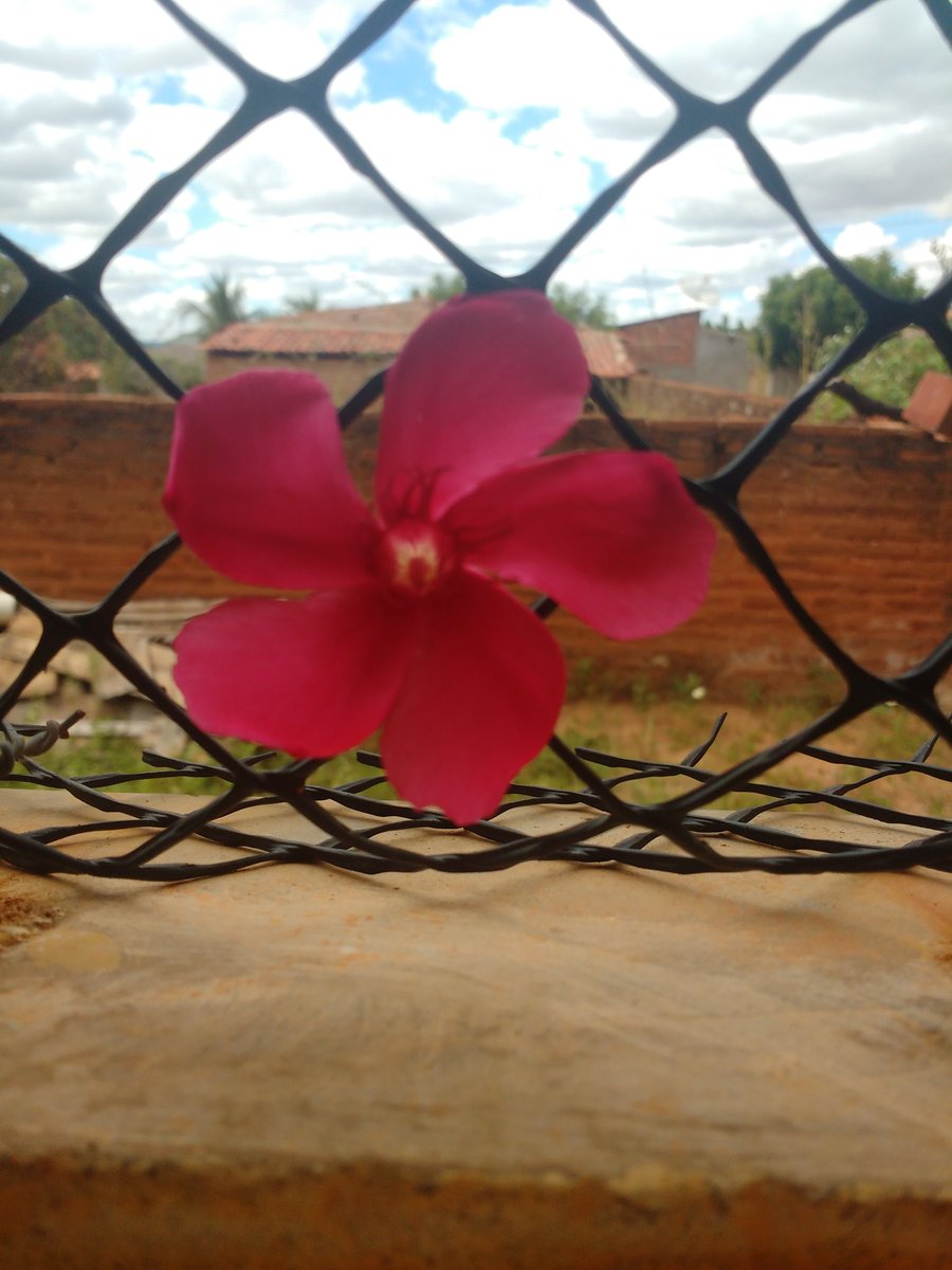 cli 45 beto (@bene88beta0) on Twitter photo 