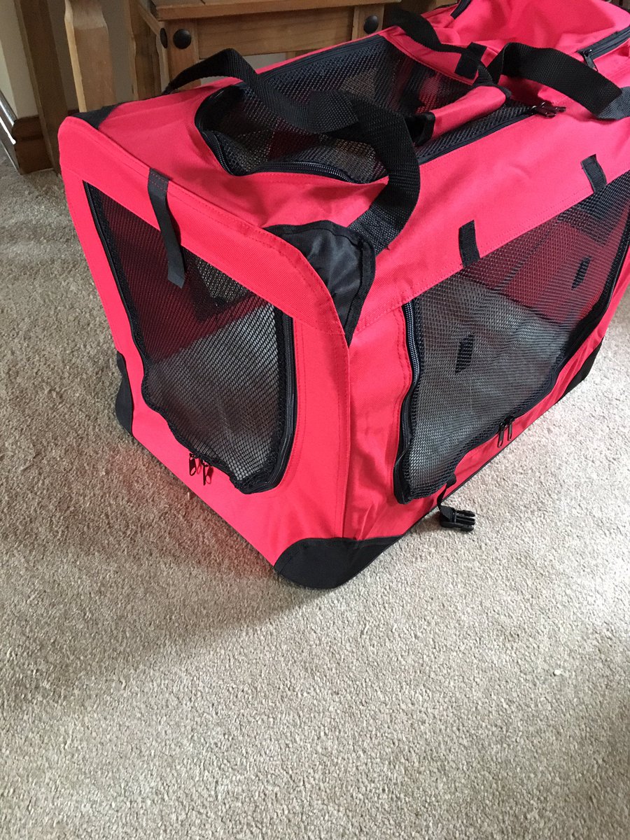 PoppyBorderT's tweet image. Mummy says my beds ready at home and it's only one more sleep 😍