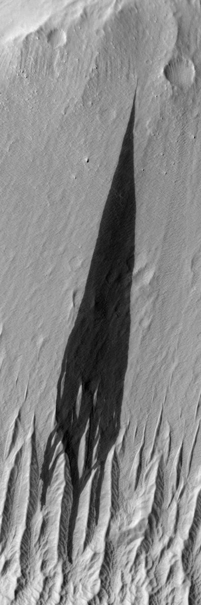 LoriKFenton's tweet image. The thinnest landslides you&apos;ll ever see are on #Mars | cosmicdiary.org/lfenton/?p=1331

Sorry for the late post this week. I was at #marsdust mtg.