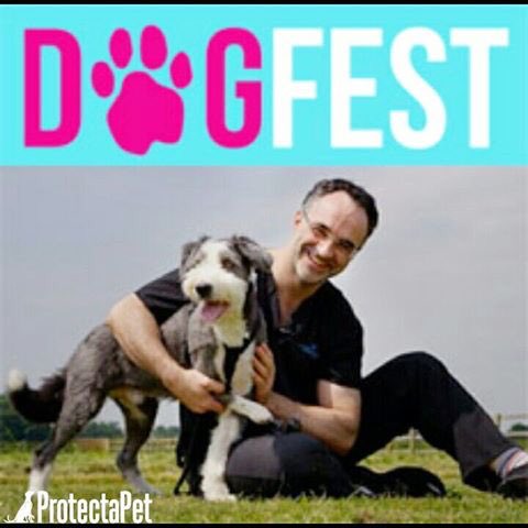 ProtectaPet's tweet photo. All set up for #dogfest @arleyhall this weekend! Hope hope @SupervetNF please drop by to see our #catfencing and #dogfencing https://t.co/xgRw4WSkOe