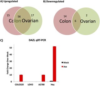 Bacteriocins: Ecology and Evolution