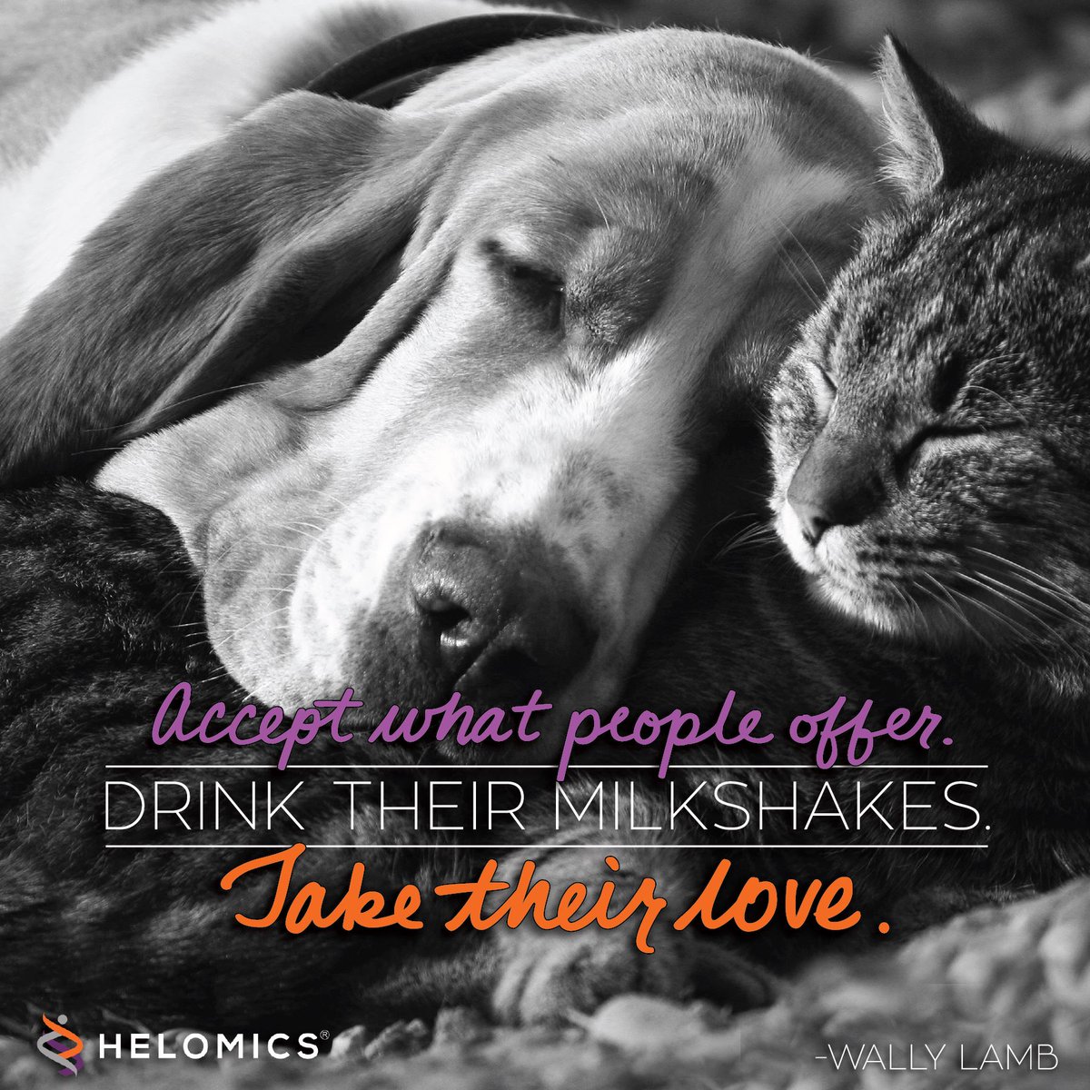 Helomics_'s tweet image. It is finally FRIDAY! Treat yourself to a milkshake and accept help when you need it. Have a great weekend everyone! #helomics