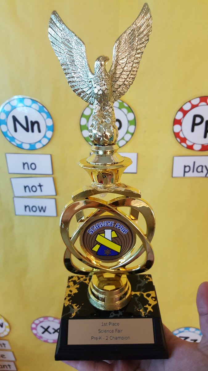 Look who won First Place at the Pre-K - 2 Grade #ScienceFair #Science #Celebrate17 @CSD12Bronx <a href="/CarmenFarinaDOE/">Carmen Fariña</a>