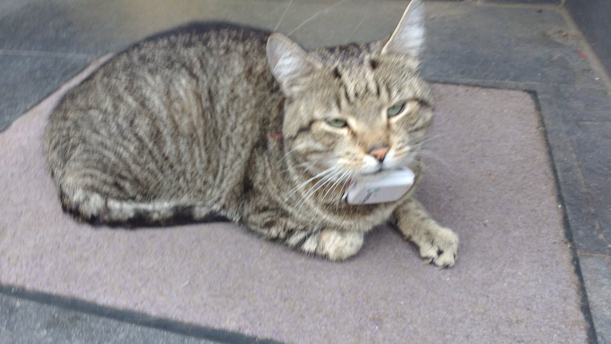 Endlich habe ich @KingLouiAC auch mal getroffen :)