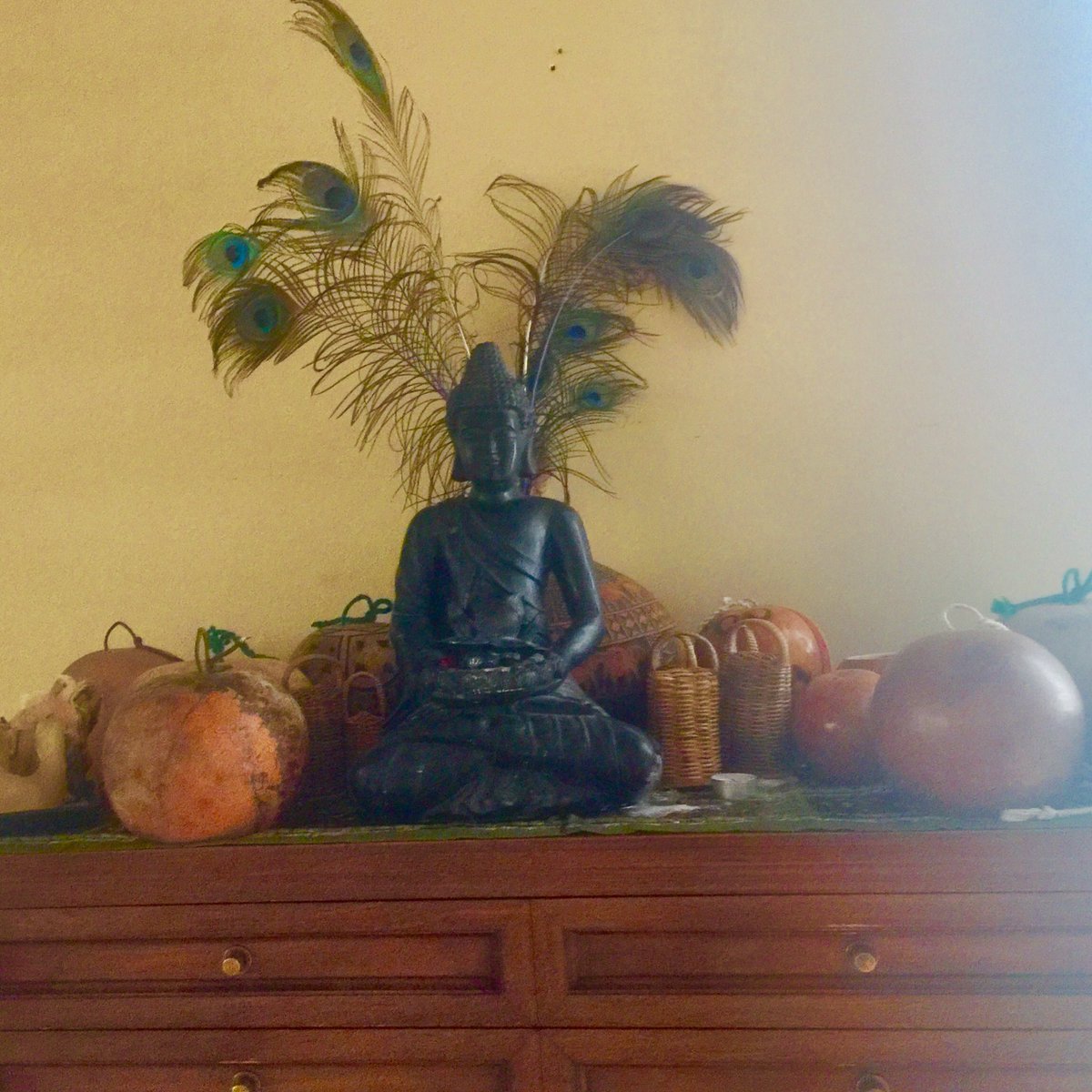 Pranjali Sirasao tweet media