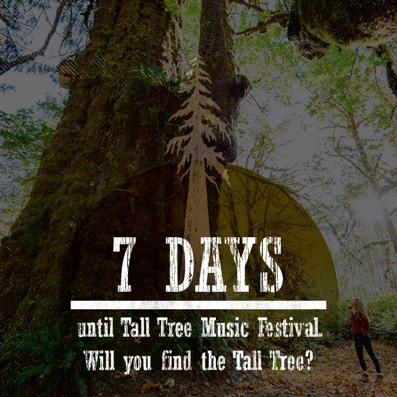 Talltreemusic's tweet photo. And so, the countdown begins 🤘Tickets are still available!  https://t.co/E4mLfMH34C #talltreemusicfestival #musicfestivalbc #yyjevents #yyj https://t.co/UmdqGEjMyK