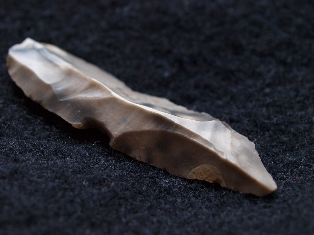 HappyPleco's tweet photo. Find of the day:) #archaeology #lithics #prehistory https://t.co/h5WDKofaEl