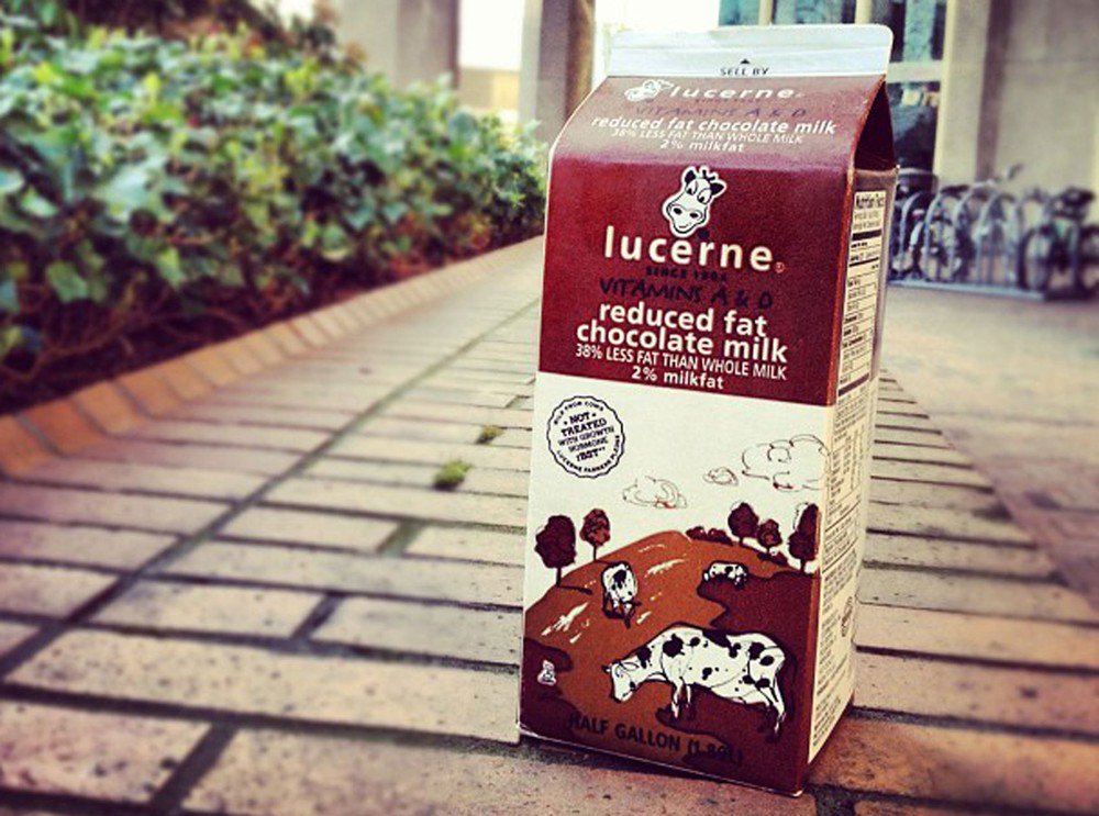 g1's tweet image. Pesquisa aponta que 7% dos americanos acreditam que achocolatado vem de vacas marrons glo.bo/2rodTKY