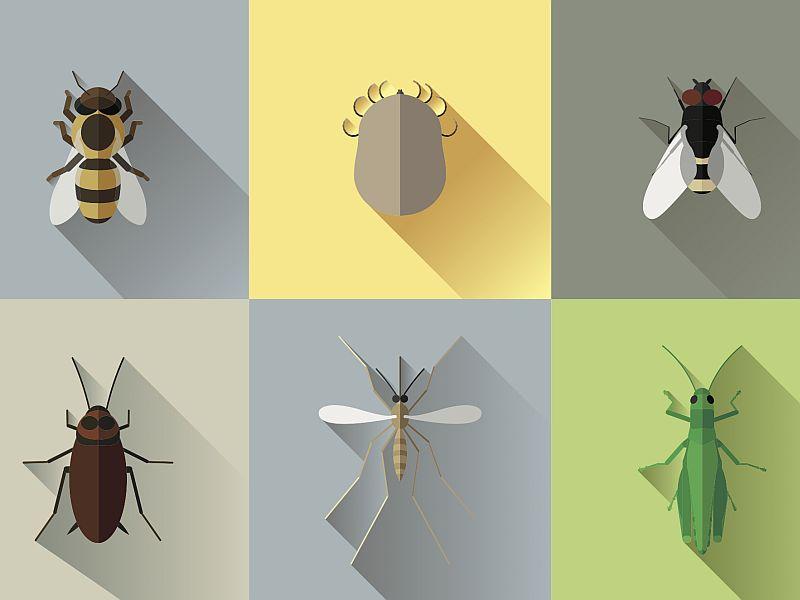 Get Your Entomology On: The Annual Bug Show bit.ly/2sHJCL8 https://t.co/uYD2EqrlUb