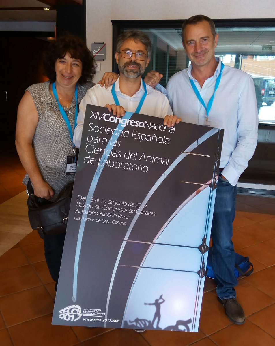 GarciaOlmoDC's tweet photo. ¡Nuevo congreso en curso! ¡Ánimo Óscar y Tere!! #secal2017 #secal2019 https://t.co/6A4NaqAUuC