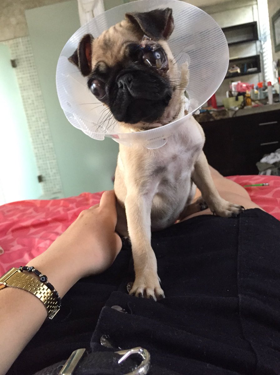 ANDREAPALMA_MC's tweet photo. Mi definición de AMOR😻 https://t.co/XqmLM6soOE