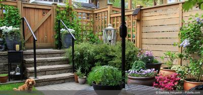 Дачные идеи для маленького участка. Обустройство маленького участка. Дизайн маленького двора. Дизайн маленького сада. Идеи для двора частного дома своими руками.