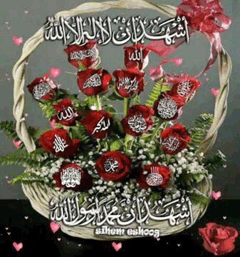 Taliouine Maroc (@maroctaliouine) on Twitter photo 