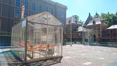 agfnl's tweet photo. Van Gelder groente &amp; fruit voorziet het Mauritshuis van eetbare museumstukken
https://t.co/nUclMzXEmk https://t.co/igzeHQpZSX