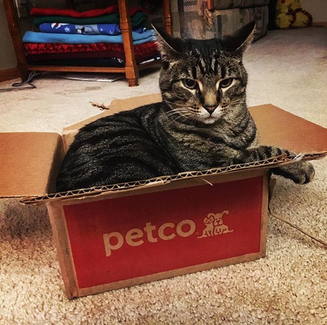 Petco on Twitter "Always convenient with FREE shipping Sign up for