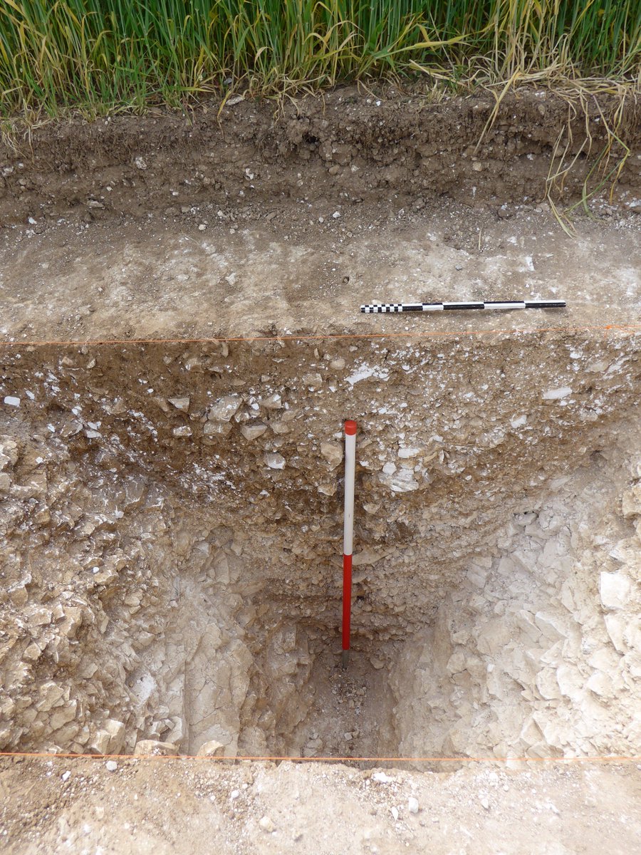 Durotrigesdig's tweet photo. Ana's section of the Bronze Age ditch is looking particularly epic https://t.co/cXq661ZHax