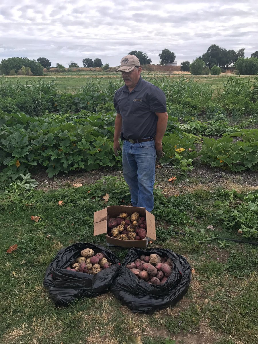 Old Sugar Mill (@oldsugarmill) on Twitter photo It's not all grapes at #OSM #ClarksburgGrown <a href="/CheninBlancTrio/">CWC Tasting Room</a> <a href="/ClarksburgWine/">Clarksburg Wine Co</a> <a href="/OldSugarMill/">Old Sugar Mill</a> #WineCountry It's not all grapes at #OSM #ClarksburgGrown <a href="/CheninBlancTrio/">CWC Tasting Room</a> <a href="/ClarksburgWine/">Clarksburg Wine Co</a> <a href="/OldSugarMill/">Old Sugar Mill</a> #WineCountry
