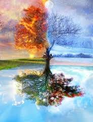 armonizanacion's tweet photo. 1° LEY ESPIRITUAL: COMO ES ARRIBA ES ABAJO. EN LA TIERRA COMO EN EL CIELO. HAY  CORRESPONDENCIA ENTRE EL MUNDO FÍSICO Y EL ESPIRITUAL. https://t.co/PLlRadnMeF