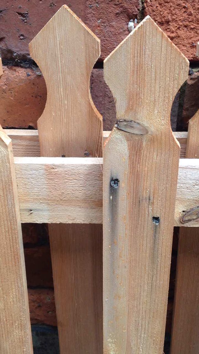 Paul Hughes tweet media