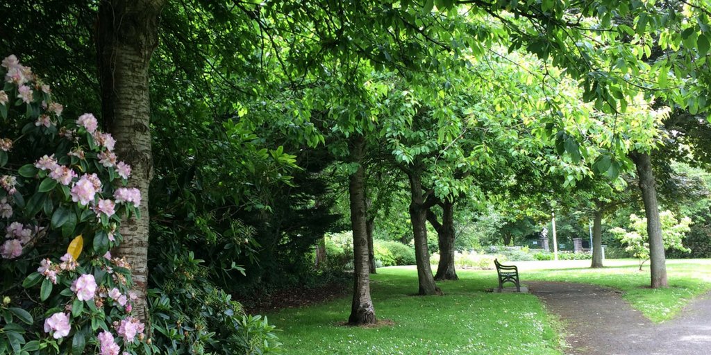 Day 16 #30DaysWild - A Walk in the Park. Read more at bit.ly/2tb9SdY
