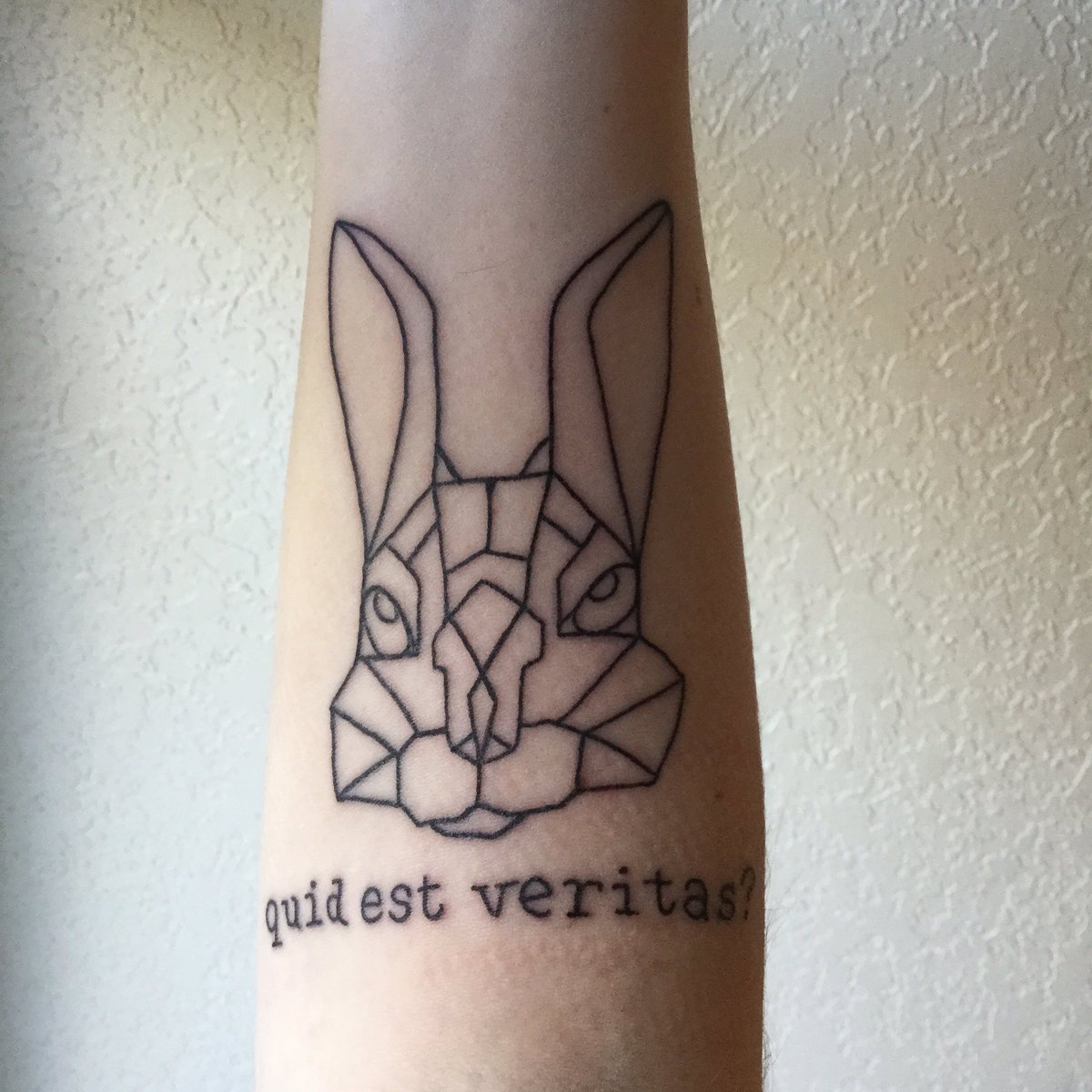 PetraVolkhausen's tweet photo. So, this happened. #firstattoo https://t.co/zGmUrsLyET