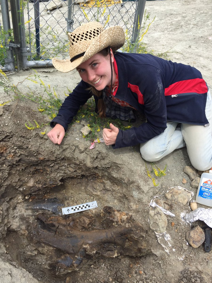histo_holly's tweet photo. Crew member Katherine shows the 4th trochanter turned into a deltopectoral crest. We have a #Maiasaura humerus! #FossilFriday @OSUVertPaleo https://t.co/6RRPeiXPRV