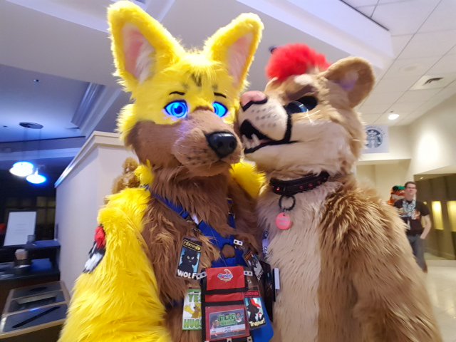 GWolfStories's tweet photo. #MCFC2017 Memories
Myself with...
@rakedutiger
@PunkCatCincy
@PunkCatCincy
@AbrahmLion https://t.co/Gr2SOcbivN