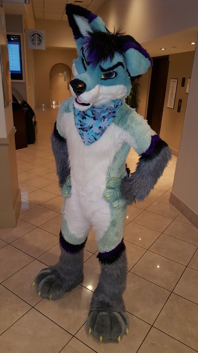 GWolfStories's tweet photo. #MCFC2017 Memories
Last Suiter of MCFC 2017
@SnugsNotDrugs https://t.co/NNaB50nYs8
