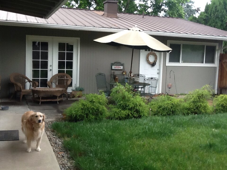 Samovila1's tweet photo. Carey Brothers, here is our backyard! #RollerRock #YARDMAX #SaberGrill #GreatBackyardSweep https://t.co/onIuA4j9ld