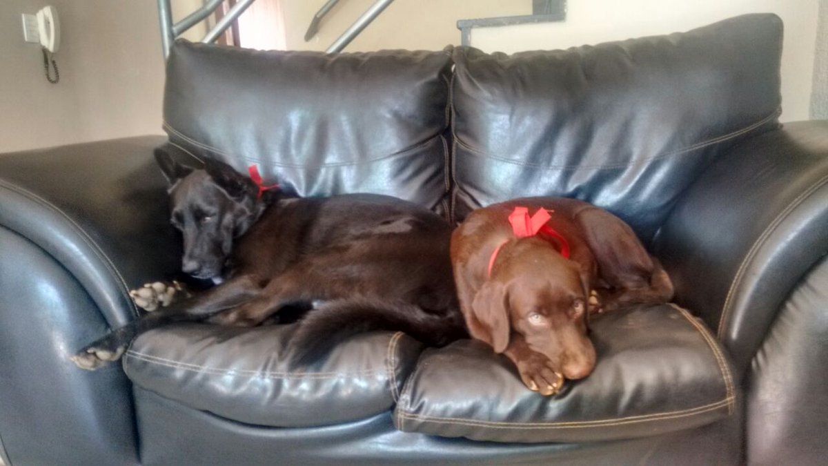 Jessica (@_leal_jeh) on Twitter photo 