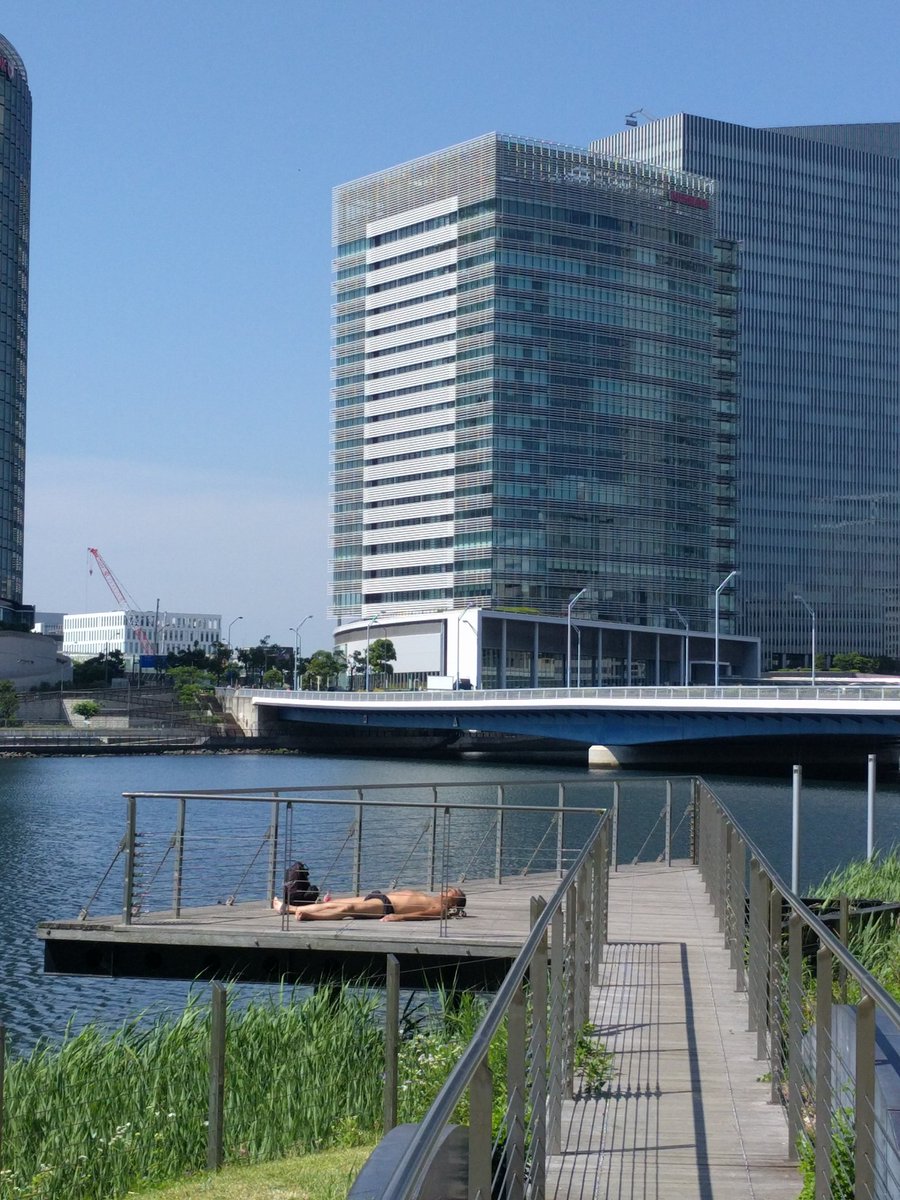 玉川大学工学部淫夢同好会 Tmgw Twitter 玉川大学工学部淫夢同好会 Tmgw Twitter