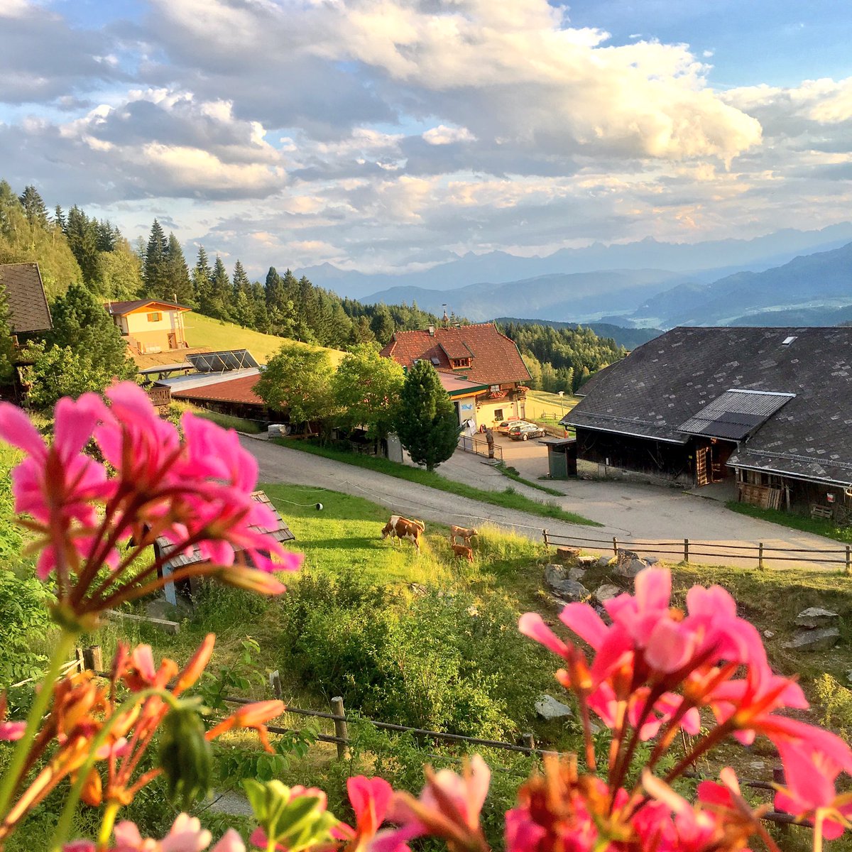 Dreigroschenoma's tweet photo. My home is my alm. #buggl (Grüße, @OliverPink1!) https://t.co/XqDAW8Ovra