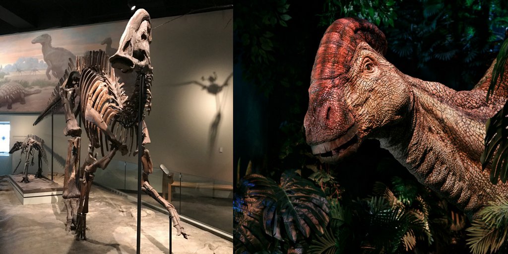 Have the ultimate #FossilFriday adventure by checking out Evolving Planet + #JurassicWorldCHI fieldmuseum.org/jurassicworld