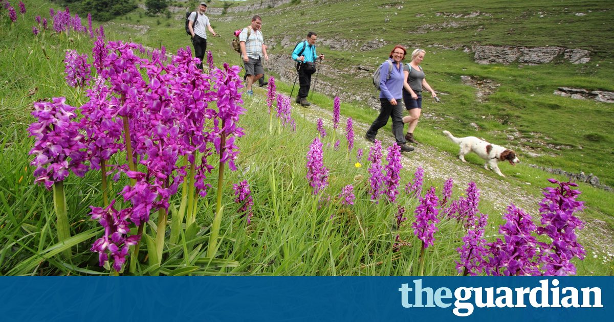 Air pollution is killing wildlife and people | Letters crwd.fr/2sjDTIH