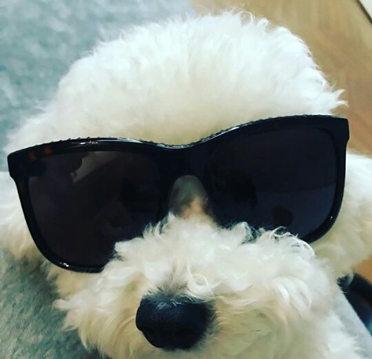 minseokanalha's tweet photo. O insta do Sehun é assim, ou é foto de objeto, ou é do vivi, ou é foto dele tampando a cara e quando ele mostra a cara a foto sai desfocada https://t.co/jFsejhRGXY