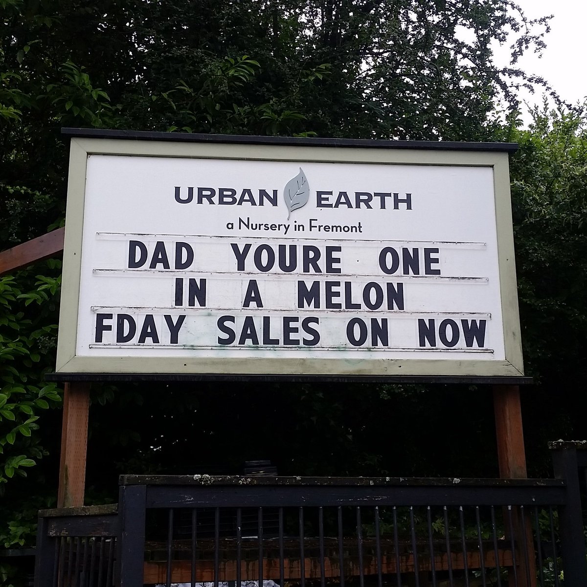 Dads, we really mean it! 😉
--
#urbanearthnursery #urbanearth #newsign #plantpuns #punny #puns #seattle #fremont #fathersday #happyfathersday